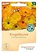 Produktbild Ringelblume 1 x 1 Stück