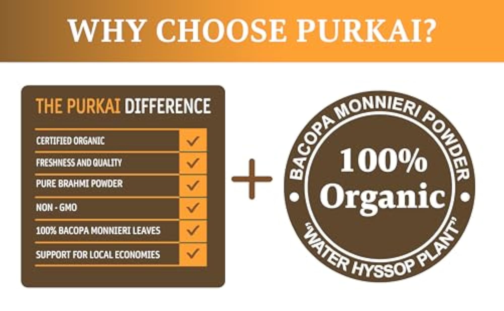 PURKAI Brahmi Powder for Brain, Memory & Hair Care 100 gm