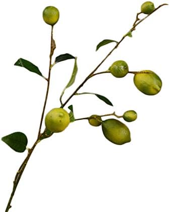 WDDH Artificial Lemon Branch, 36inch Fake Lemon Flower Branch with Green Leaves, Decorative Fruit Branch Photography Props for Home Weddng Party Decor