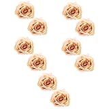 Uonlytech Pince Fleur pour Rideaux 10 Pcs Câble Cravate Corde à Lacets Pinces à Cravate...