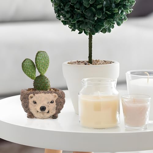 Mini pot hérisson pour succulentes compact ciment gain de place bureau