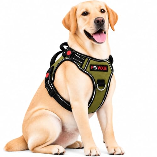 Image of No Pull Dog Chest Belt Harness, Adjustable, Comfortable & Secure Fit (Olive Green, S(5-13KG PET))