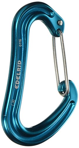 EDELRID Nineteen G Carabiner - Icemint EDELRID Nineteen G Carabiner - Icemint