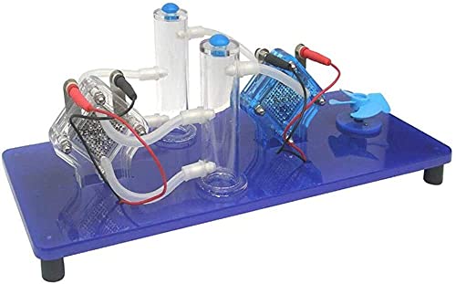 Dntum Demonstrator Physical for Hydrogen-Oxygen Fuel Cells Reversible Fuel Cell and electrolyser Energy Production Test Equipment