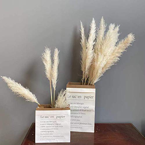 Pampas Grass, 5Pcs Natural Dried Flowers Phragmites Bouquet Artificial Flowers for DIY Home Kitchen Wedding Table Floral Arrangements Vase Decor (B)