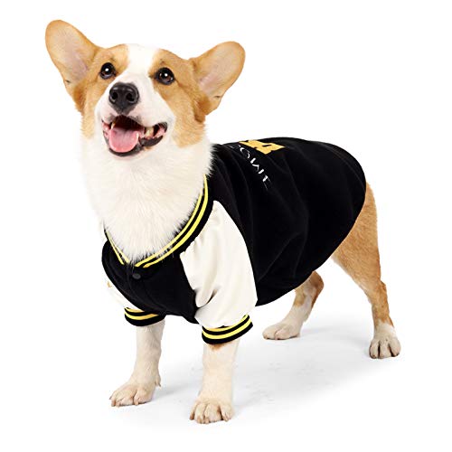Sudadera de béisbol para cachorros, ropa deportiva para perros para clima frío, chaqueta guapa, sudadera con capucha, ropa deportiva, abrigo cálido de invierno, disfraz para perros pequeños y medianos