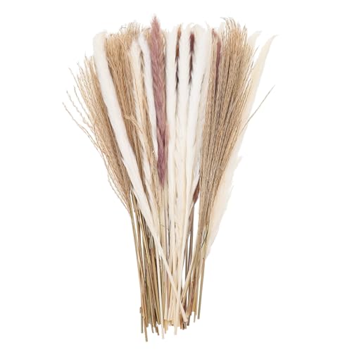 Garneck 60 Piezas Flores De Caña Seca Planta Flores Falsas Decoración De La Boda Árbol Artificial Al Aire Libre Casa Tallos Largo Eucalipto Hortensia Pampa Difusor Pomposo Flores Secas