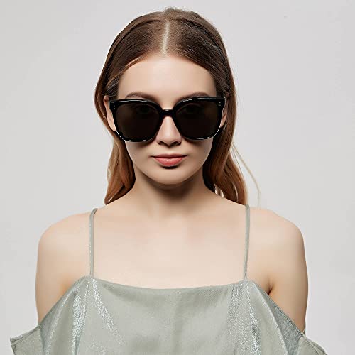 Sunglasses Celeste 2201 Modern Style Polarized Anti-Glare Unisex Outdoor Sports Driving Casual Wear2