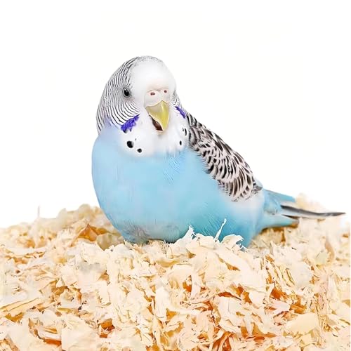 MANON ROSA Wood Shavings for Bird Bedding - Natural Aspen Soft Low-Dust & Odor-Control Nesting Material for Parakeets Parrots Rabbits Cockatiel for Cages, Nest Boxes, Small Pet Litter