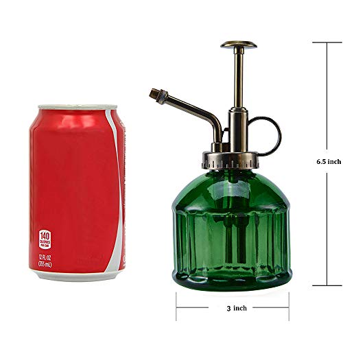 Ebristar Glass Plant Mister Spray Bottle, Vintage Plant Spritzer Sprayer Mister, Succulent Watering Bottle with Top Pump, Small Glass Watering Can for Indoor Outdoor Houseplant - Dark Green