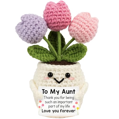 Lucagift Aunt Gifts - Mothers Day, Birthday Gifts for Aunt from Kids Nephew Niece - Auntie Present...