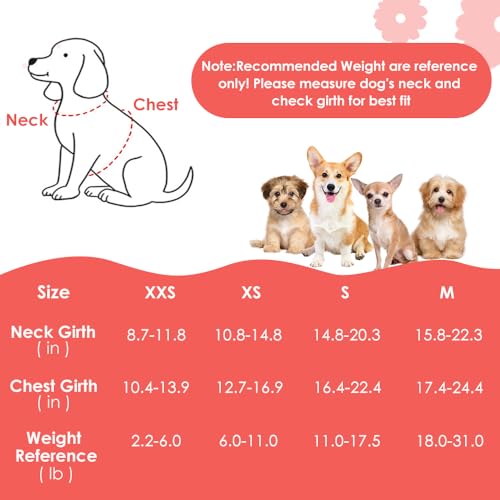 SlowTon No Pull Dog Harness with Leash - Soft Lightweight Floral Pattern Puppy Harness, Adjustable Pet Harness for Small Medium Dogs (Flower XXS) - Image 4