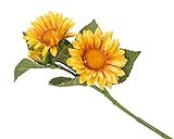VEA SRL Stiel P. Sonnenblumen CHA55312