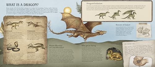 Image of A Natural History of Dragons (Folklore Field Guides)