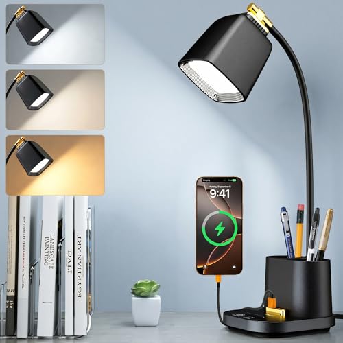Hifireelf Desk Lamp with 2 USB Charging Ports Small Study Lamp with Pen Holders Gooseneck Home Office Desk Lamps University Essentials for Student LED Table Nail Light for Reading Gooseneck