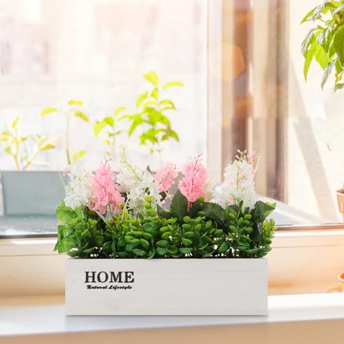 Plantes décoratives d'intérieur jacinthe rose blanc sans entretien avec pot