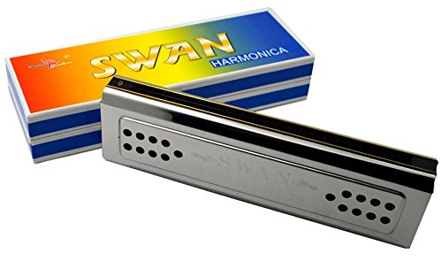 New, 48 Holes Harmonica, Tremolo, Two Keys C & G #TOP2