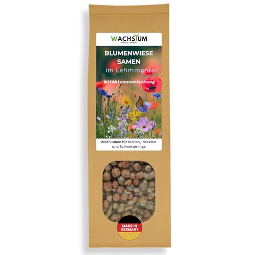 Blumensamen im schützenden Lehmmantel für Bienen und Schmetterlinge 400g. Mehrjährig & winterhart Wildblumenmischung für 20 m. Wunderschöne Wildblumen Saatgut für bunte Bienenweide. Geschenk Kinder