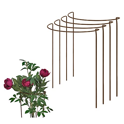 Rusty Bow Plant Supports (Raw Steel designed to rust) for Peonies, Hydrangea, Roses, etc - Strong...