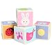 Produktbild Le Toy Van petilou Little Leaf Blocks