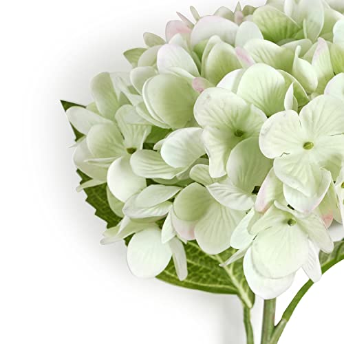 Image of PURE HOME + LIVING Green Faux Hydrangea Spray
