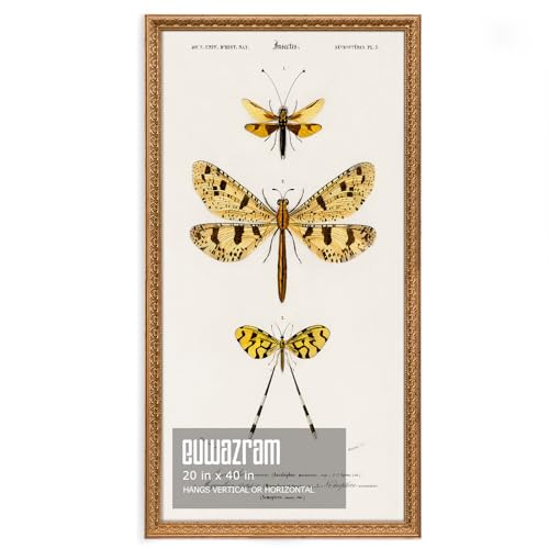 euwazram 20x40 Ornate Vintage Gold Picture Frame - Single Frame 20 x 40 Classic Poster Frame for Art Prints & Gallery Walls