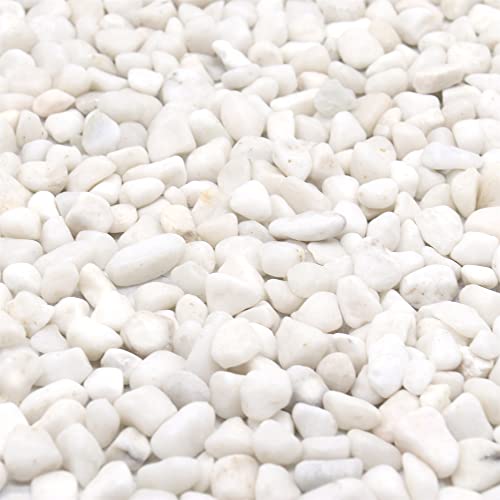 Roches blanches pour succulentes et création de parterres minéraux zen