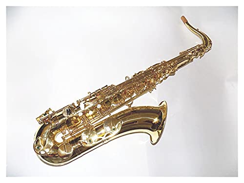 vtFbVi Bb ei[TbNX P[Xt Ǌyp ^J CG[ vtFbVi TbNX TbNX Xg[g