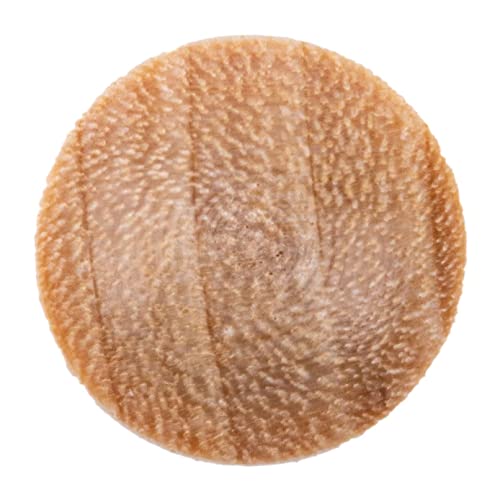 Image of Mushroom Birch Screw Hole Button Plugs | 1 /4 inch Diameter | Pack of 50 Approx. | Wood Turned End Grain Round Mushroom Head with Shoulders | UA-057-BW