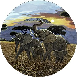 TIRE COVER CENTRAL Elephants Sunset on Kilimanjaro Spare Tire Cover (Select tire Size/Back up Camera Option in MENU) Custom Sized to Any Make/Model