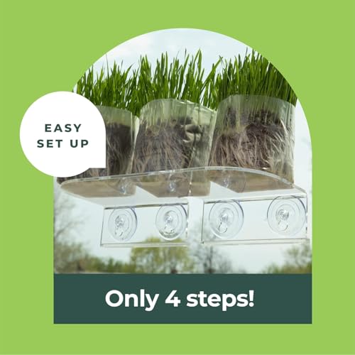 Image of Window Garden Double Veg Ledge - Window Shelf for Plants, Clear Acrylic Shelves - Suction Cup Indoor Plant Holder - Glass Window Sill Extender for Microgreens Kit, Seed Starter Pots, Planters (2 Pack)