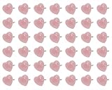 ONLYKXY Sweetheart Push Pins Tacks Plastic Pinks Love Heart Shape Head, Steel Point（100 Pieces）