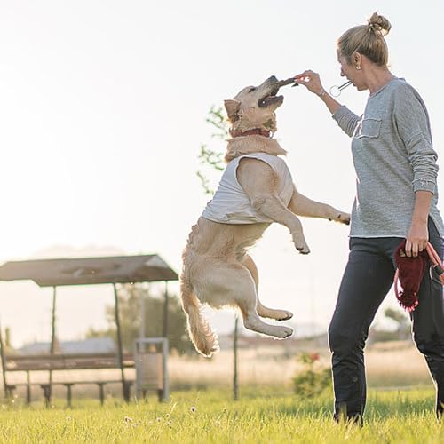 LIANRISES 6 Stück Hundepfeife Rütter Rückruf, Hochfrequenz Lautlos, Hundepfeifen Gegen Bellen, Signalpfeife, Notfallpfeife und 6 Schlüsselbänder