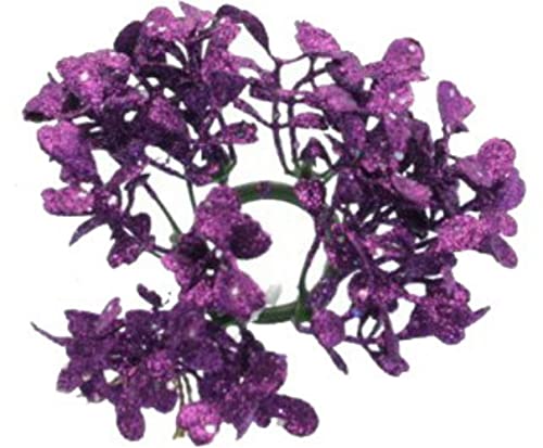 Nataluna GIROCANDELA paarse bladbladen, zoals foto, uniek