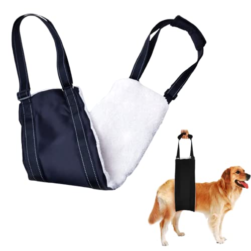 Imbracatura Supporto Cani L