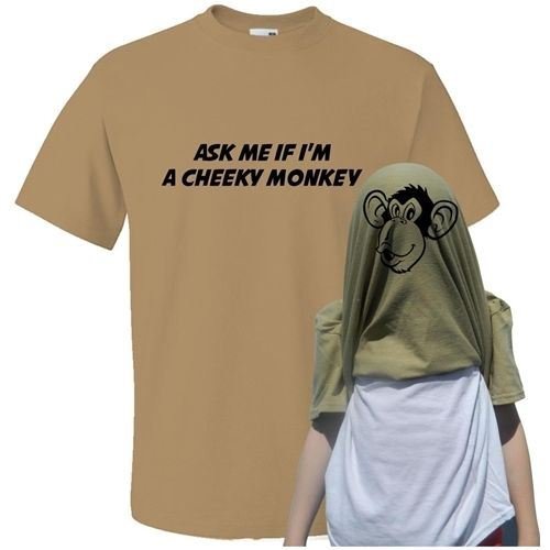 Reality Glitch Childrens Ask Me if I'm a Cheeky Monkey Flip T-Shirt Grey