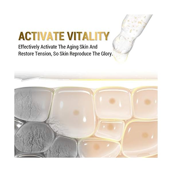 24K Gold Anti Aging Face Serum Moisturizer Enriched with Vitamin C Serum, Hyaluronic Acid, Vitamin E Cream for Day and Night Wrinkle Reduction, Re-Activate Skin Youth (1FL.OZ)