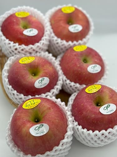 青森県産 糖度13度保証 弘前ふじ 6個 Lサイズ