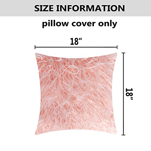 HOME BRILLIANT Fluffy Decorative Throw Pillow Case, 2 Pc, 18*18 inches