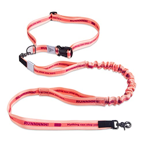 Find The Best Waist Leash For Dogs Reviews & Comparison Katynel