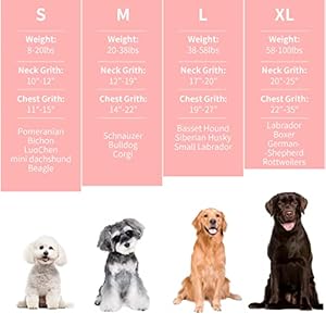 Thunder Jacket for Dogs Anxiety Relief Dog Anxiety Vest Calming Care for Separation Thunderstorm Travel Fireworks Vet Visits green M  Cucciolini Doodles Thunder jacket for dogs anxiety relief dog anxiety vest calming care for separation thunderstorm travel fireworks vet visits green m   cucciolini doodles