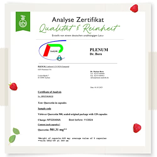 Quercetin Vit4ever 500 mg 120 Kapseln für 4 Monate