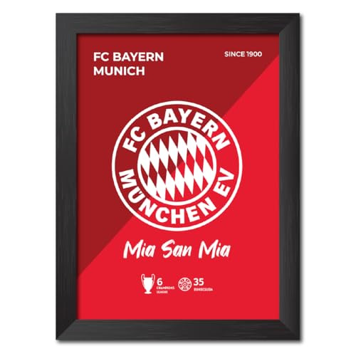 Image of TenorArts Bayern Munich Football Club Poster White Logo Laminated Photo Frame Painting with Matt Finish Black Textures(12 inches x 9inches)