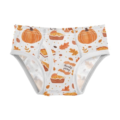 visesunny Boys Cotton Underwear Thanksgiving Pumpkin Leaf Printed Toddler Soft Training Briefs Size 2T-8Y for Kids