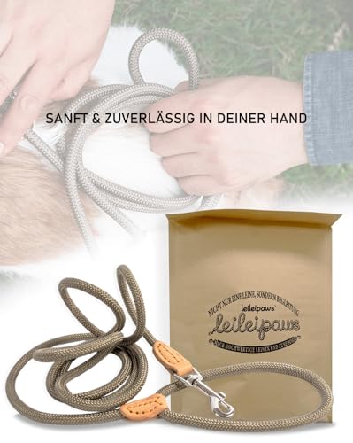 LeileiPaws Tauleine Hund – Nylon Hundeleine für kleine, mittelgroße & große Hunde – hundeleine leicht mit Schlaufe für kleinere Hunde, robuste Hundeleine große Hunde(Khaki, 2m x 0.8cm)