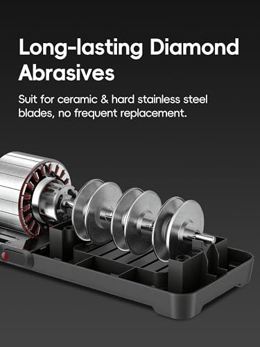 Professional Electric Knife Sharpener