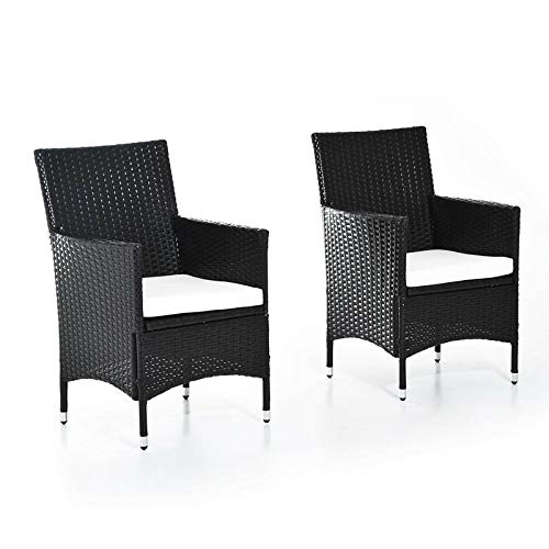 Rattan Dining Chair with Cushion (Set of 2) Amazon.in Home & Kitchen