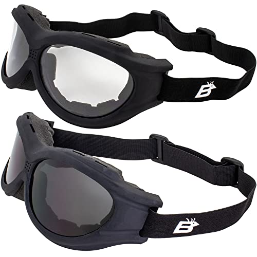 Birdz Eyewear Buzzard Motorcycle Goggles 2 Pairs Black Frames with Clear & Smoke Lenses