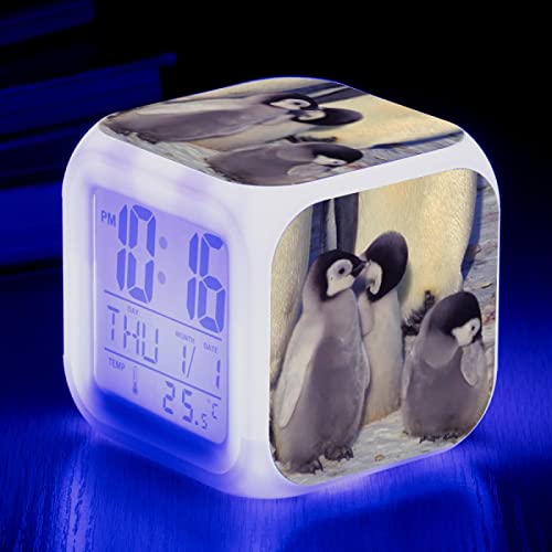 yMڊo܂vp[\iCYꂽʐ^EFCNAbvCg7FLEDq̂߂̃fW^ڊo܂vMtg@\tbVdqvv B