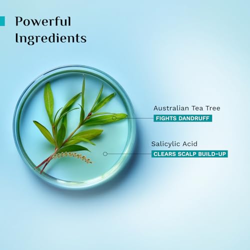 Image of Pilgrim Australian Tea Tree Anti-Dandruff Unscented Conditioner For All Hair Type 200 ml (Pack of 3) | Smoothens Strands & Detangles Hair | Fights and Prevents Dandruff | For Men & Women | Unscented, For All Hair Types, Smoothens & Detangles Hair, Fights & Prevents Dandruff, For Men & Women